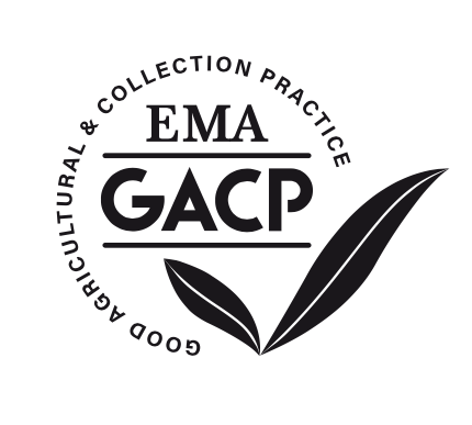 GACP-Zertifizierung für Cannabis, Schweiz, SWISO, Produktion, Sainfort CBD