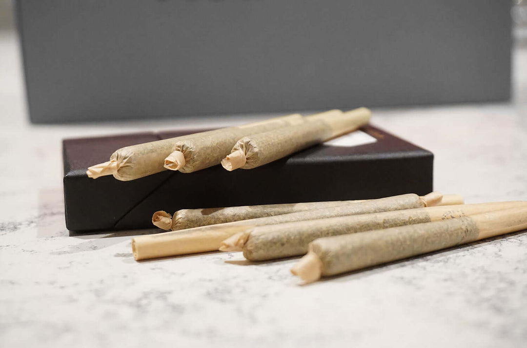 The perfect long papers for your CBD enjoyment!